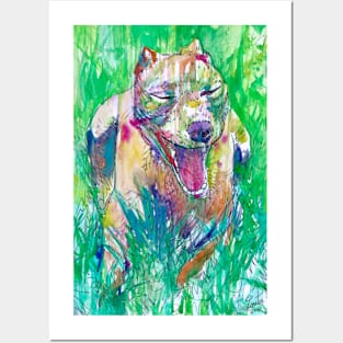 PIT BULL YAWNING IN THE GARDEN - watercolor portrait Posters and Art